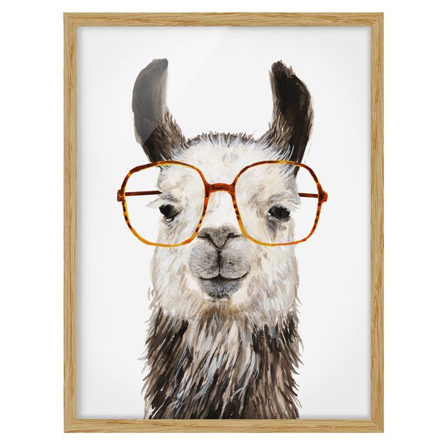 Quadro animali Hip Lama con occhiali IV