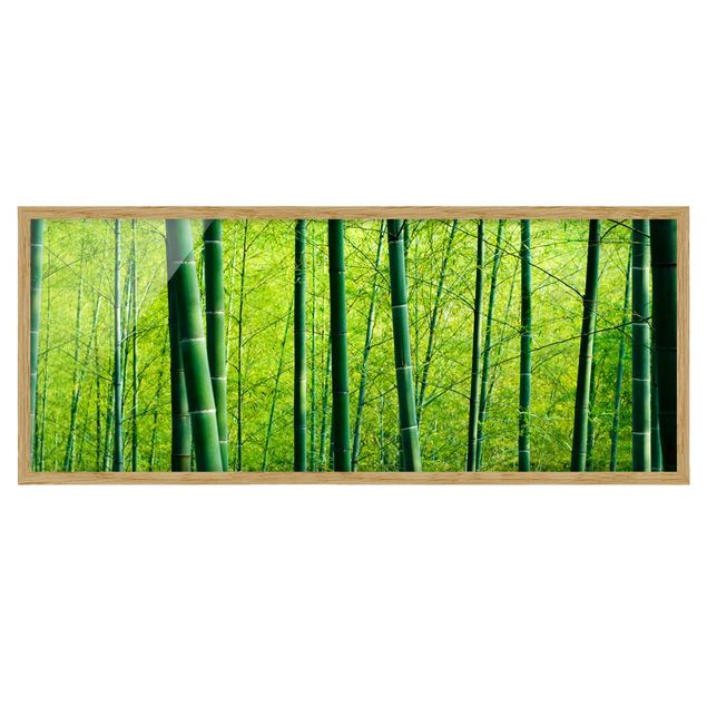 Quadri in 3d Foresta di bambù