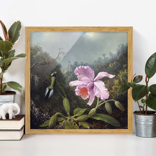 Riproduzioni quadri famosi Martin Johnson Heade - Natura morta con un'orchidea e una coppia di colibrì