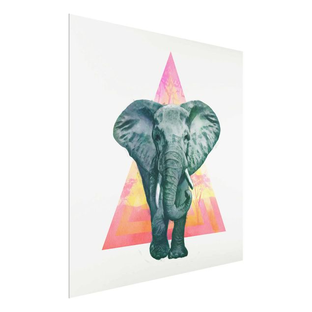 Quadri in vetro con animali Illustrazione - Elefante fronte triangolo pittura