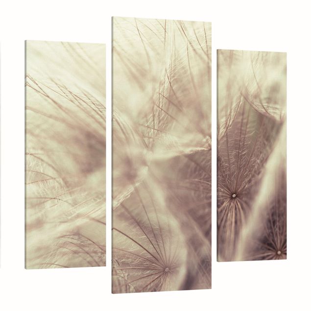 Quadri fiori Macro ripresa dettagliata di un Soffione con effetto sfocato vintage