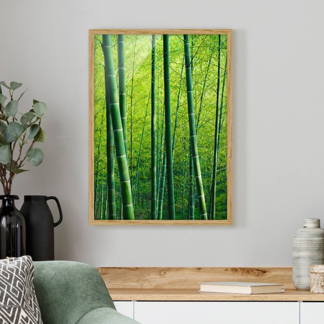 Quadri alberi Foresta di bambù