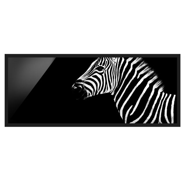 Quadri con cornice riproduzioni Zebra Safari Art