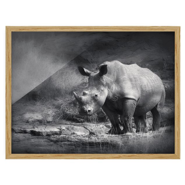 Quadri astratti con cornice Rinoceronte solitario