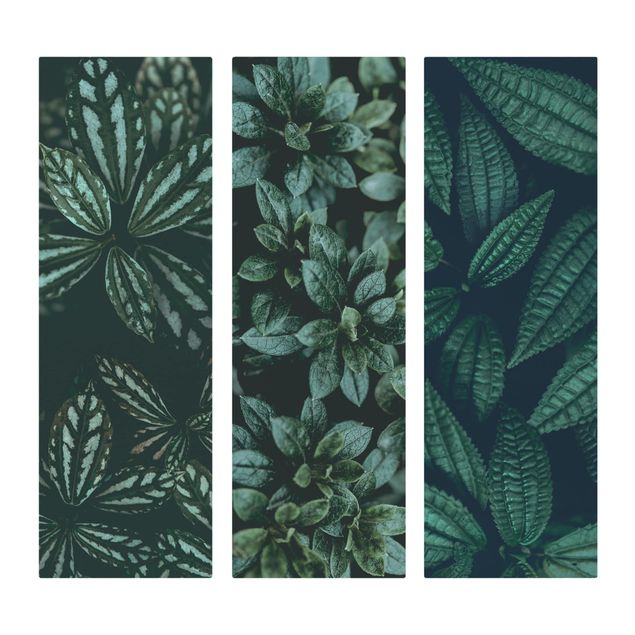 Quadri verdi Trio di foglie