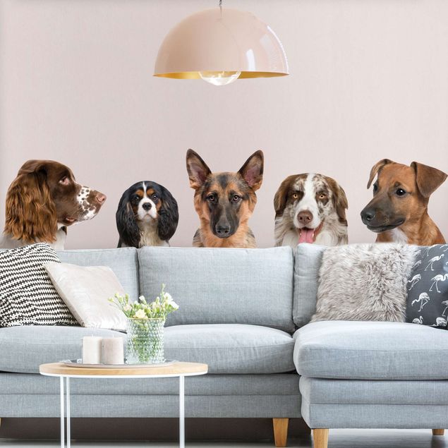 Autocolantes de parede cães 5 amici