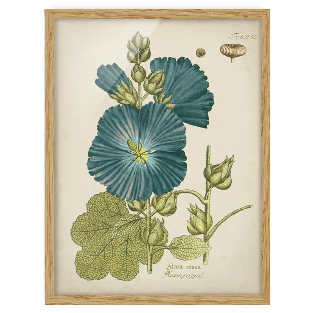 Quadri blu Botanica vintage in pioppo rosa blu