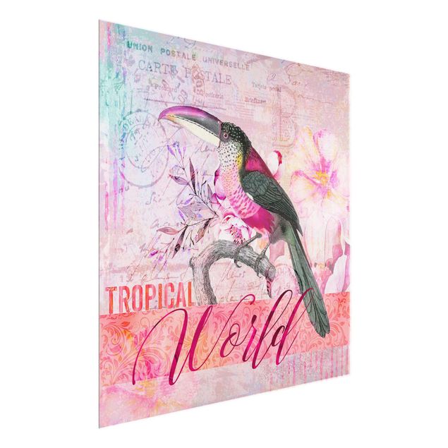 Quadri Andrea Haase Collage vintage - Tucano del mondo tropicale