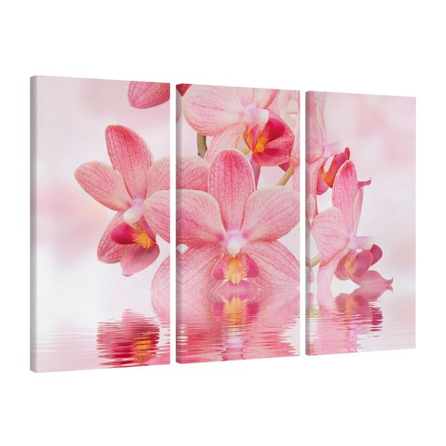 Quadri moderni per arredamento Orchidea rosa chiaro sull'acqua