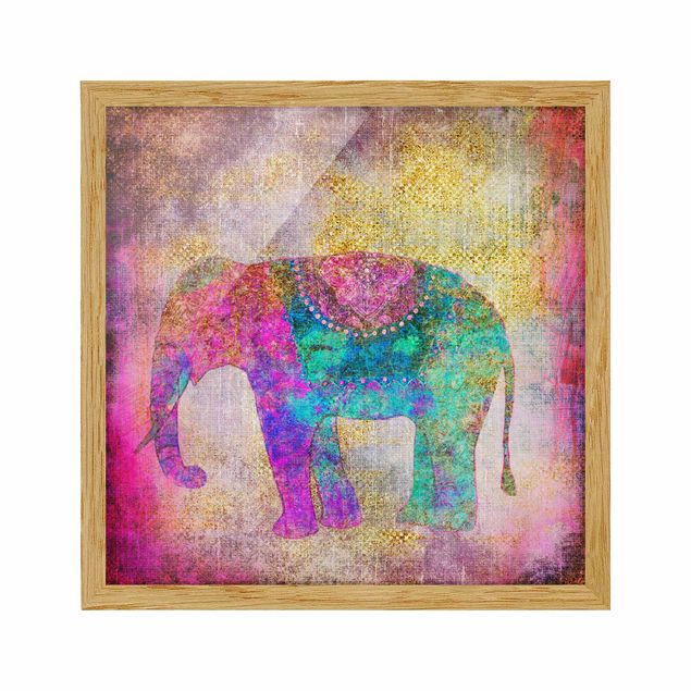 Riproduzioni quadri Collage colorato - Elefante indiano