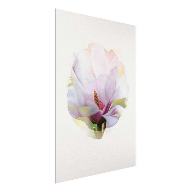 Quadri fiori Acquerelli - Delicati fiori di magnolia