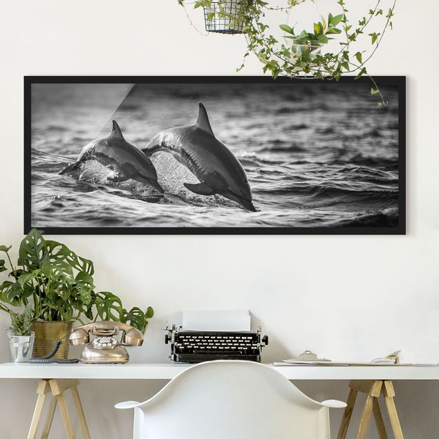 Quadri con cornice in bianco e nero Due delfini che saltano