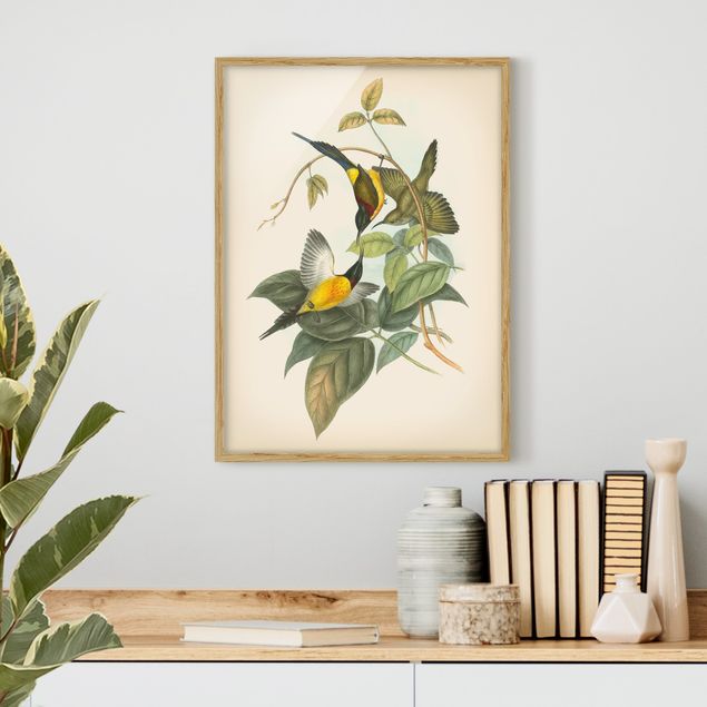 Quadri con cornice con fiori Illustrazione vintage Uccelli tropicali IV
