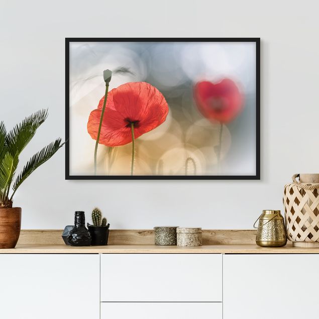 Poster con cornice - Poppies In The Morning - Orizzontale 3:4