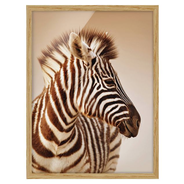 Quadro moderno Ritratto di piccola zebra