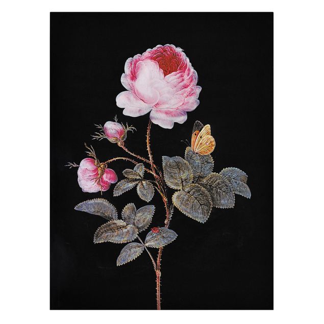 Quadri barocchi Barbara Regina Dietzsch - La rosa dai cento petali