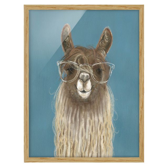 Quadro animali Lama con occhiali III