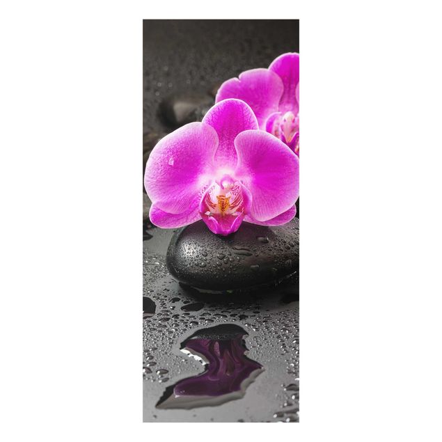 Quadri fiori Fiore di orchidea rosa su pietra con gocce