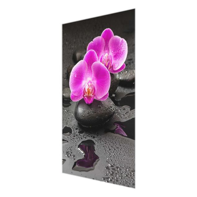 Quadri Uwe Merkel Fiore di orchidea rosa su pietra con gocce