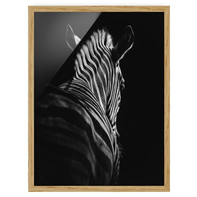 Quadri moderni   Silhouette Zebra scuro