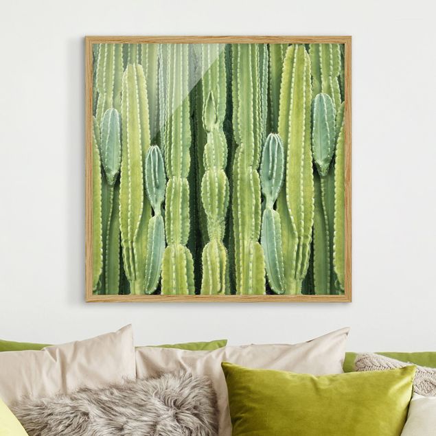 Quadri moderni   Muro di cactus