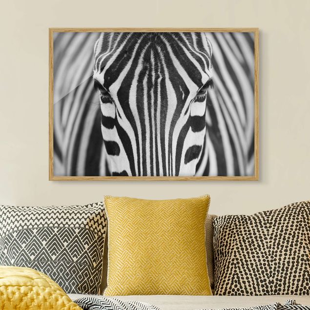 Quadro Africa Sguardo da zebra