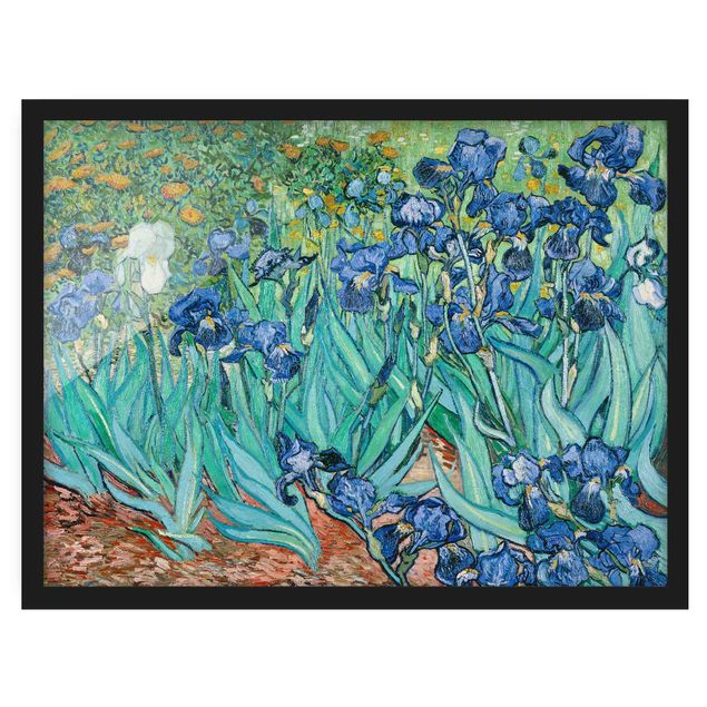 Riproduzioni Vincent Van Gogh - Iris