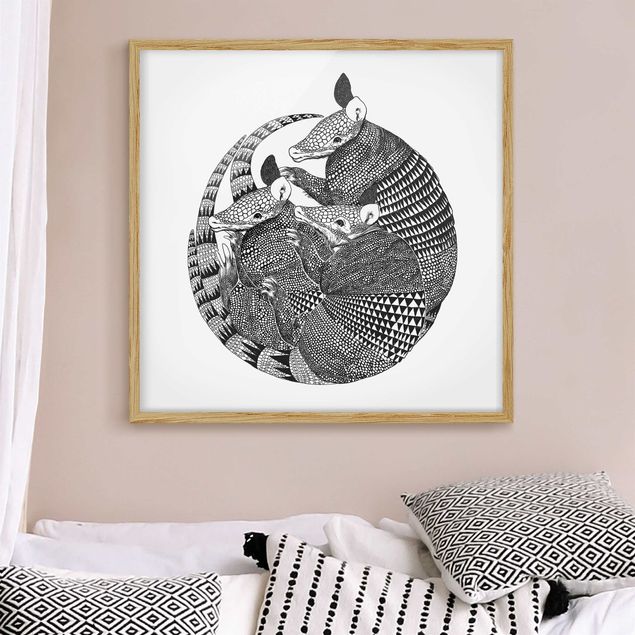 Quadri con cornice con animali Illustrazione - Armadillo - Disegno in bianco e nero
