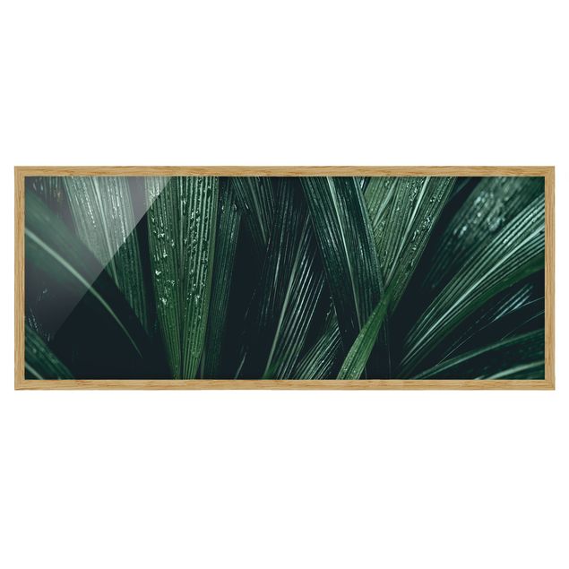 Quadri verdi Foglie di palma verde