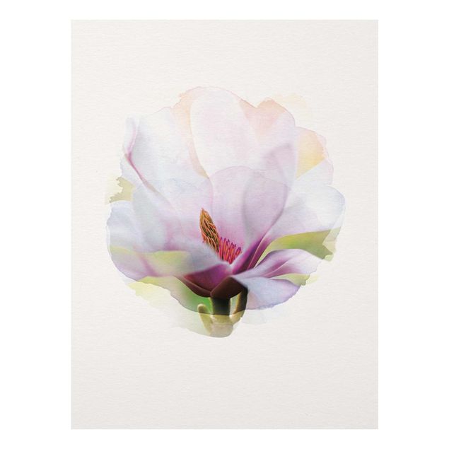 Quadri Acquerelli - Delicati fiori di magnolia