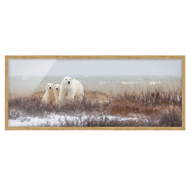 Quadro animali Orso polare e i suoi cuccioli