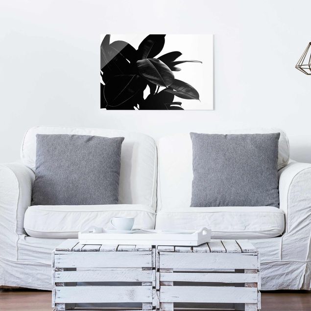 Quadro moderno Albero di gomma in bianco e nero