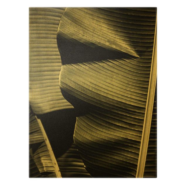 Quadro su tela oro - Dettaglio di una foglia di banano