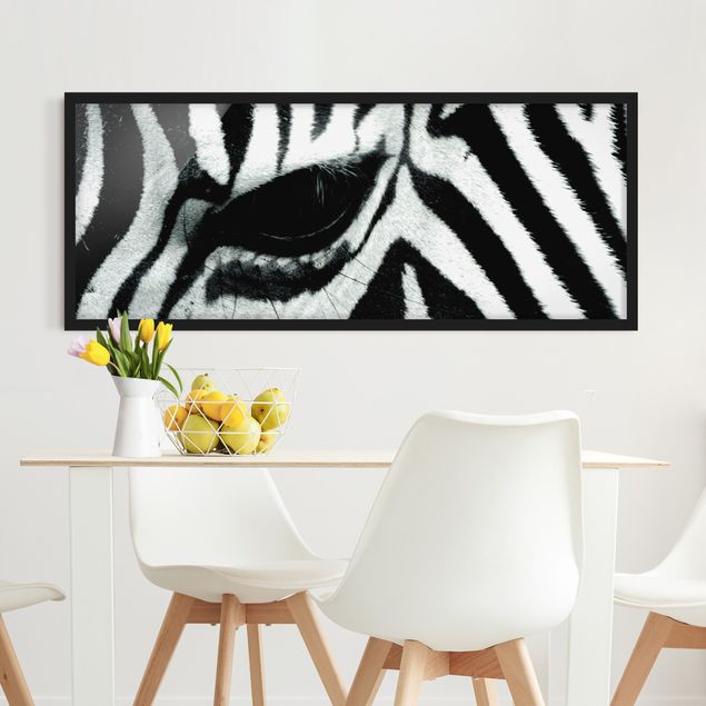 Quadri zebra Zebra