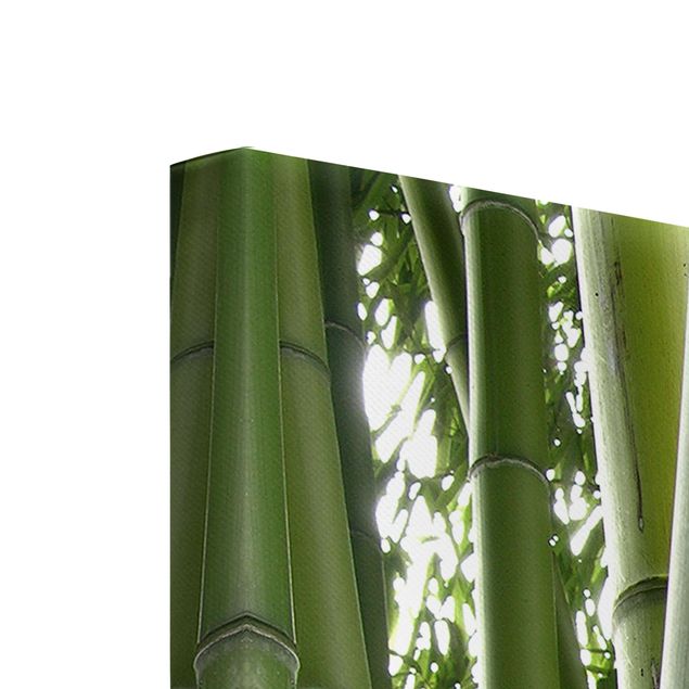 Quadri moderni   Alberi di bambù