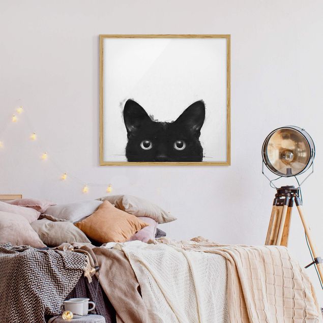 Quadri con cornice con animali Illustrazione - Gatto nero su pittura bianca