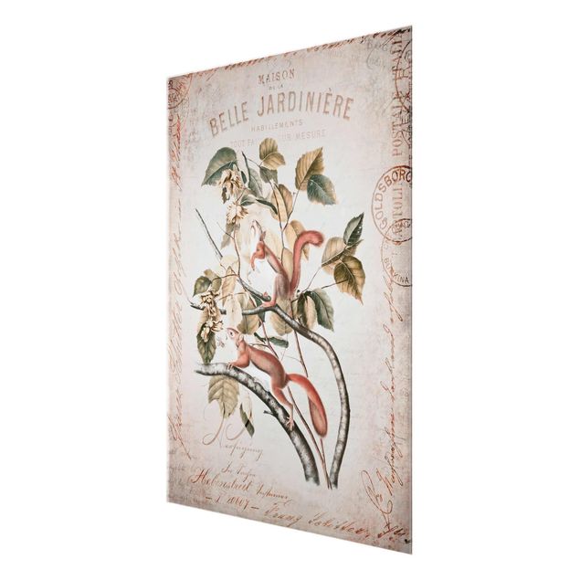 Stampe Collage Shabby Chic - Scoiattolo
