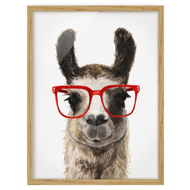 Quadri con animali Hip Lama con occhiali II