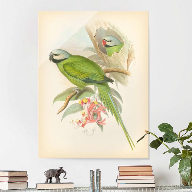 Quadri in vetro con fiori Illustrazione vintage Uccelli tropicali II