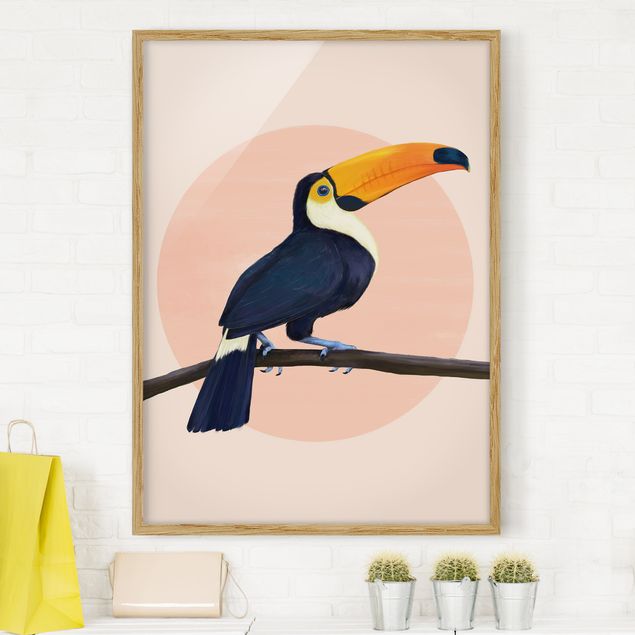 Quadri con cornice con animali Illustrazione - Uccello Tucano Pittura Pastello