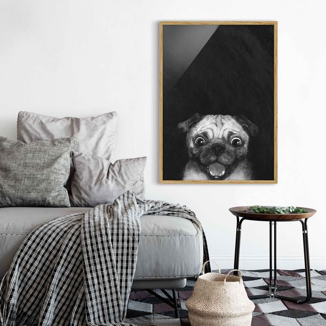 Quadri con cornice in bianco e nero Illustrazione - cane carlino pittura su bianco e nero