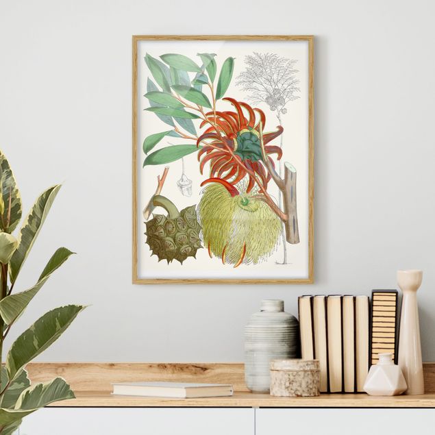 Quadri con cornice con fiori Illustrazione vintage Fiori tropicali II