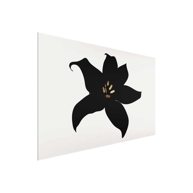 Quadri in vetro con fiori Mondo vegetale grafico - Orchidea nera e oro