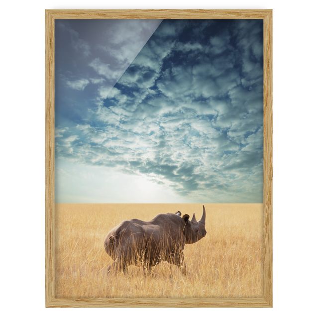 Quadri con cornice con animali Rinoceronte nella savana
