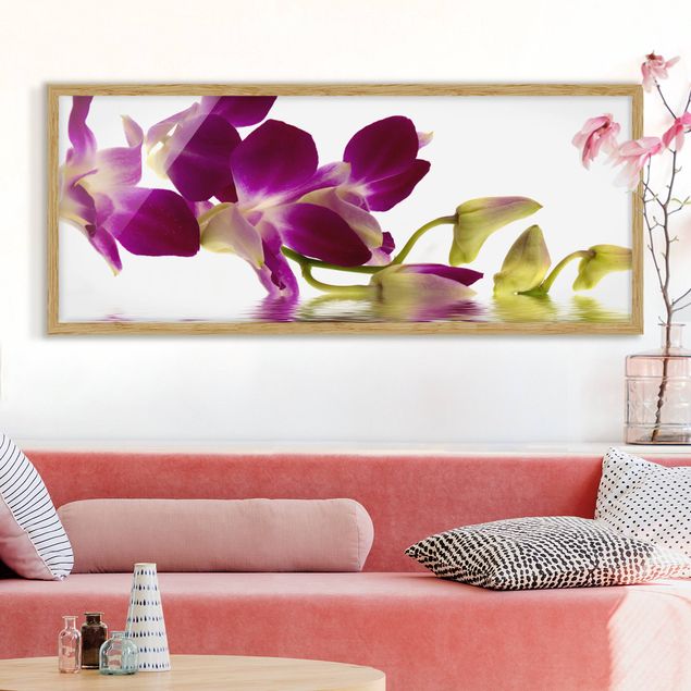 Quadri orchidee Acque di orchidee rosa