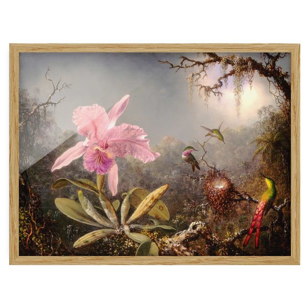 Quadri con cornice con fiori Martin Johnson Heade - Orchidea e tre colibrì