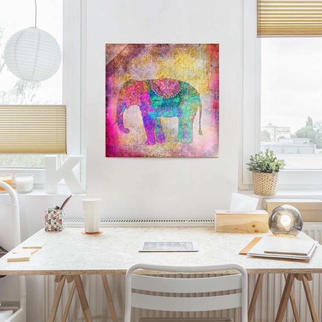 Quadri in vetro con animali Collage colorato - Elefante indiano