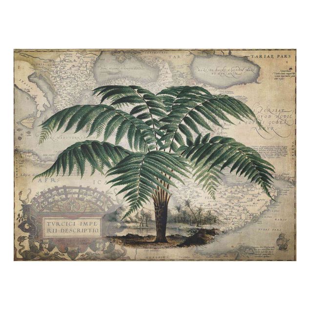 Quadro verde Collage vintage - Palma e mappa del mondo
