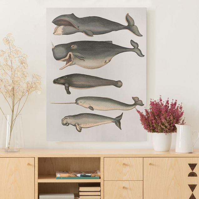 Quadri su tela con pesci Cinque balene vintage