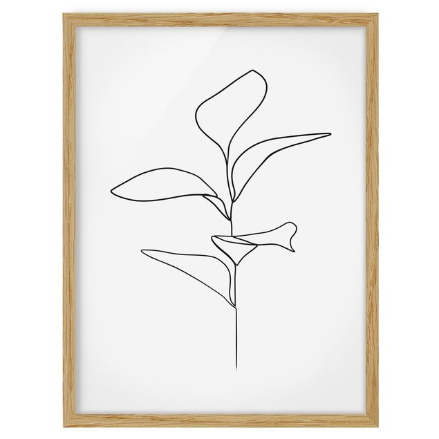 Quadri con cornice in bianco e nero Line Art - foglie di piante bianco e nero